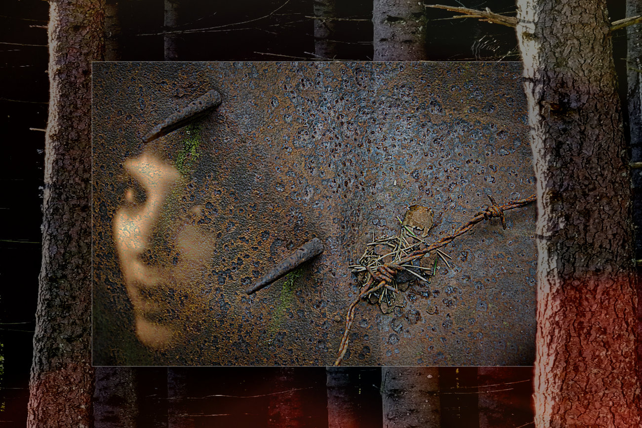 Who Image